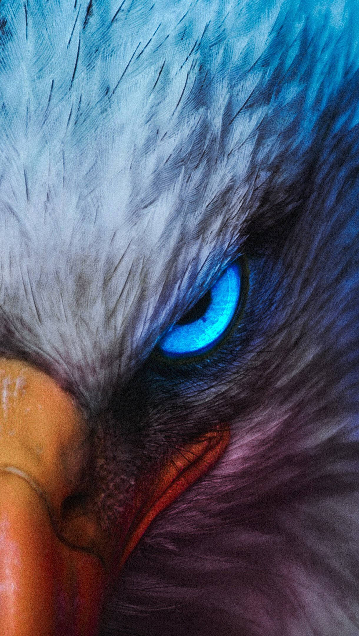 Aguila, sharp, glowing blue eye, Full HD Phone Wallpaper
