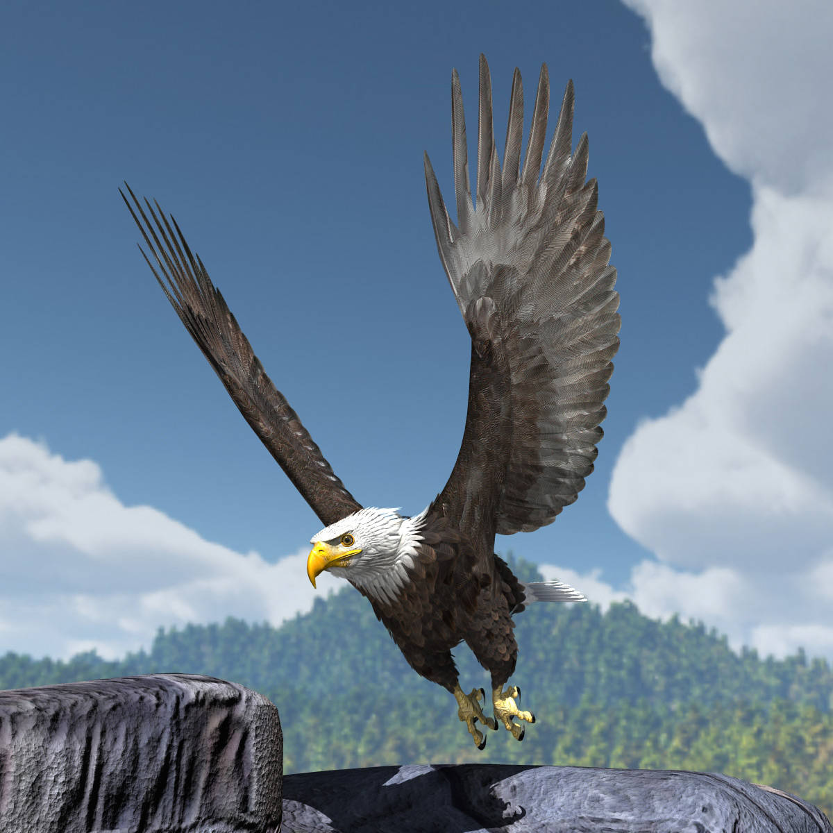 Aguila, bald eagle, blue sky, SD Desktop Wallpaper