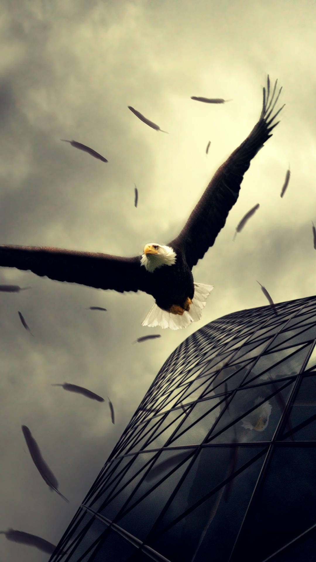 Aguila, bald eagle, modern glass skyscraper, Full HD Phone Wallpaper