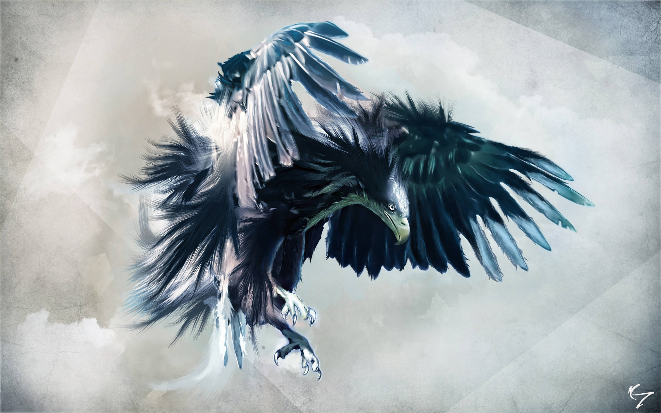 Aguila, black eagle, black feathers, 2K Desktop Wallpaper