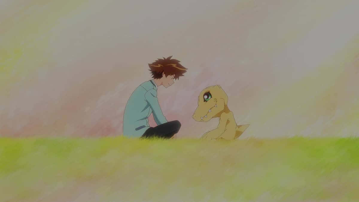 boy, Agumon, teal shirt, SD Desktop Wallpaper