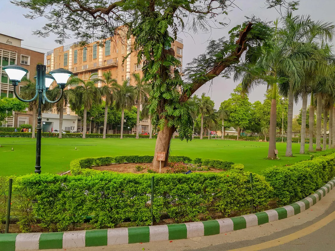 AIIMS