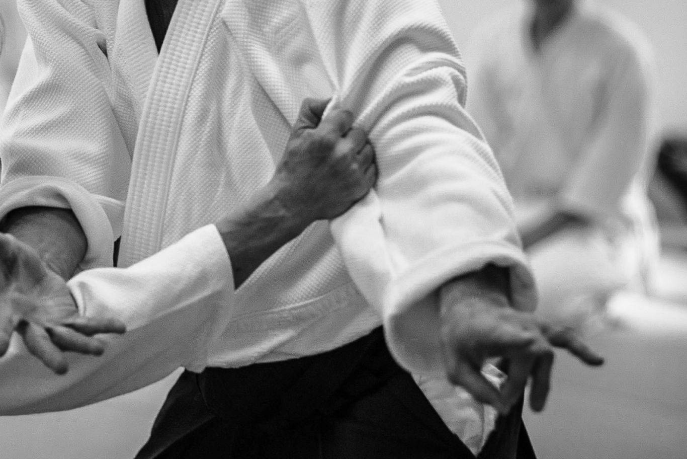 monochrome, close up, aikido, HD Desktop Wallpaper