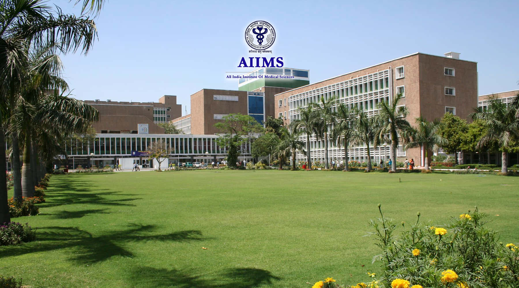 AIIMS, modern brick buildings, green lawn, HD Desktop Wallpaper