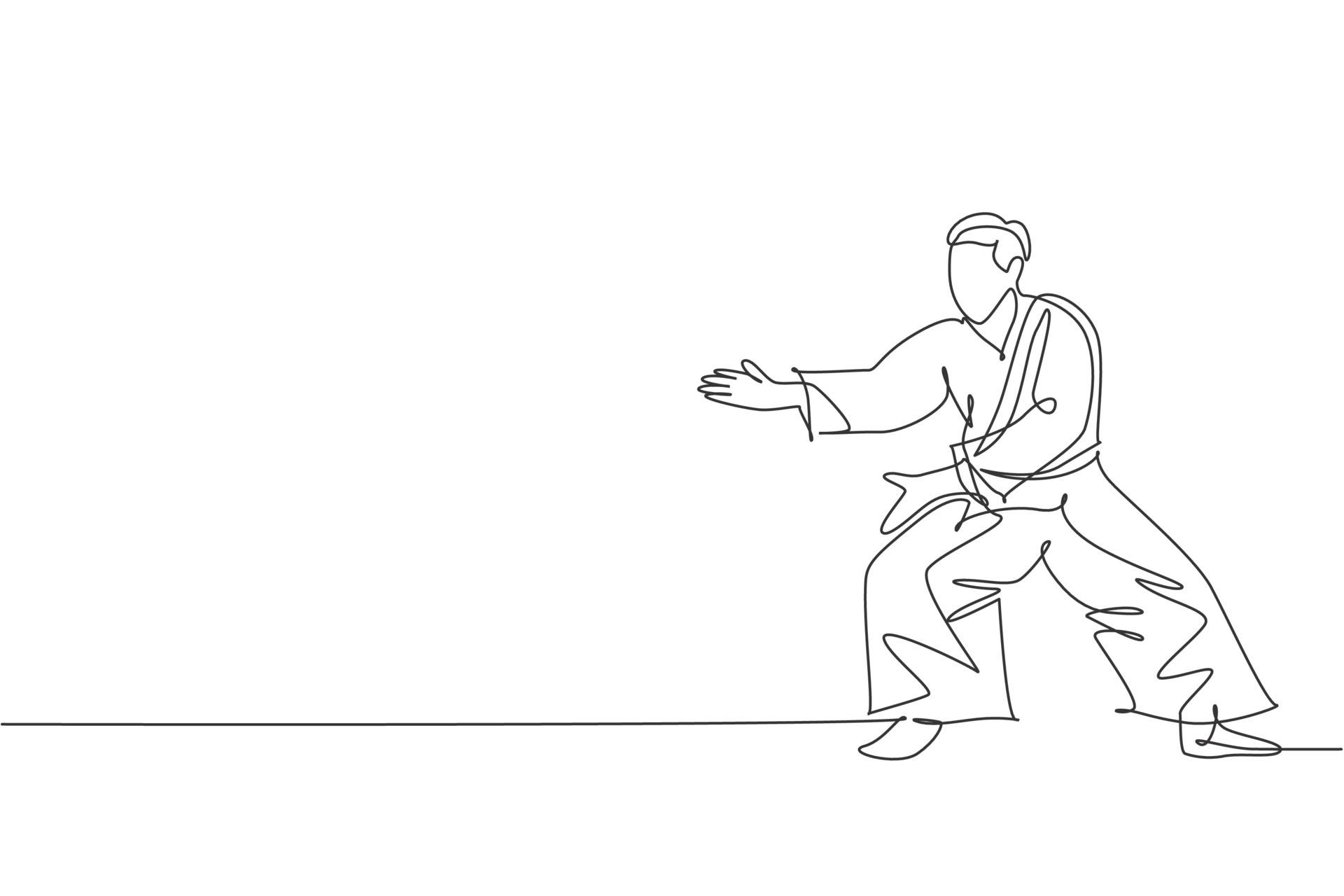 aikidoka, typical aikido stance, line art, Full HD Desktop Wallpaper