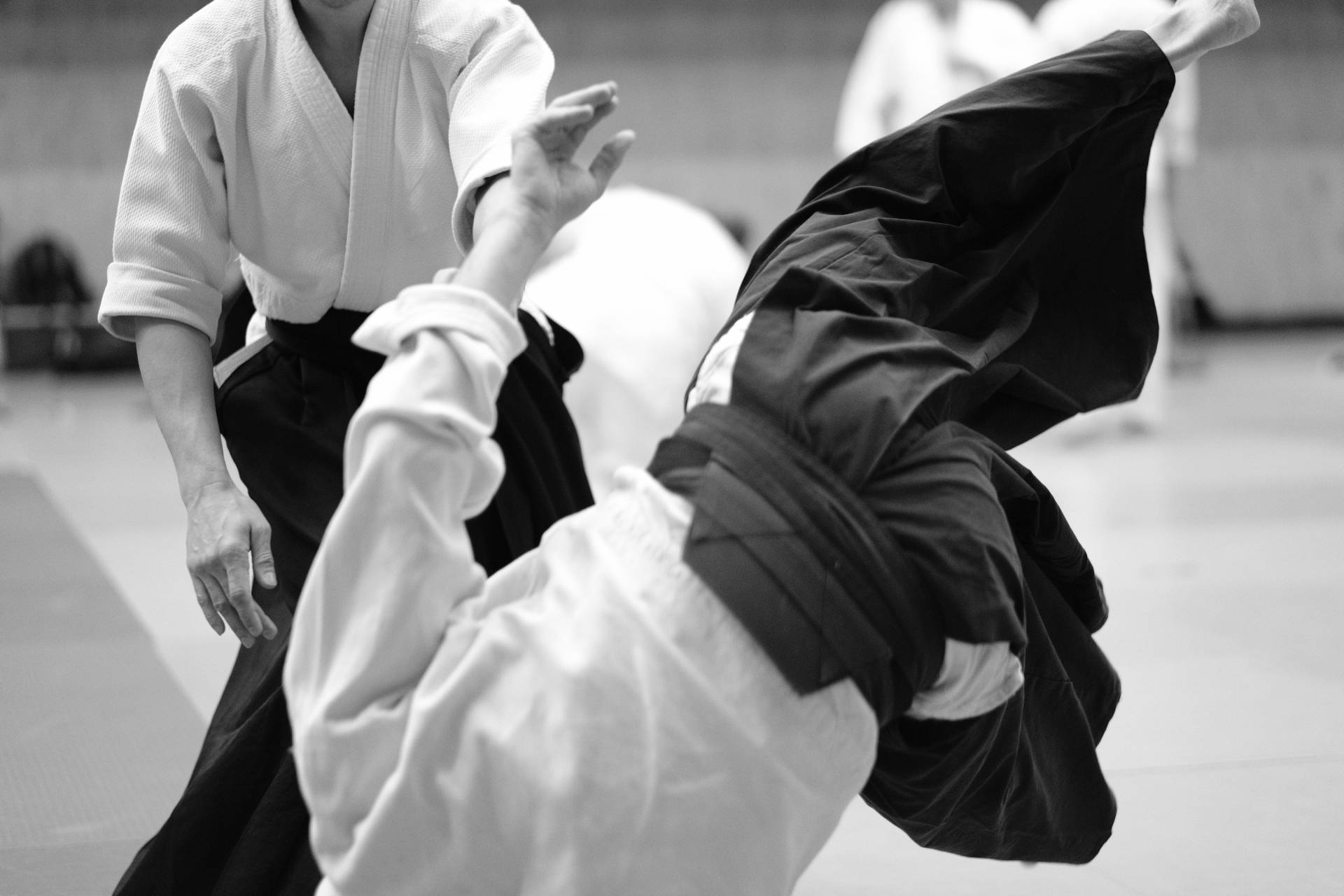 aiki nage, aikido technique, dojo, Full HD Desktop Wallpaper