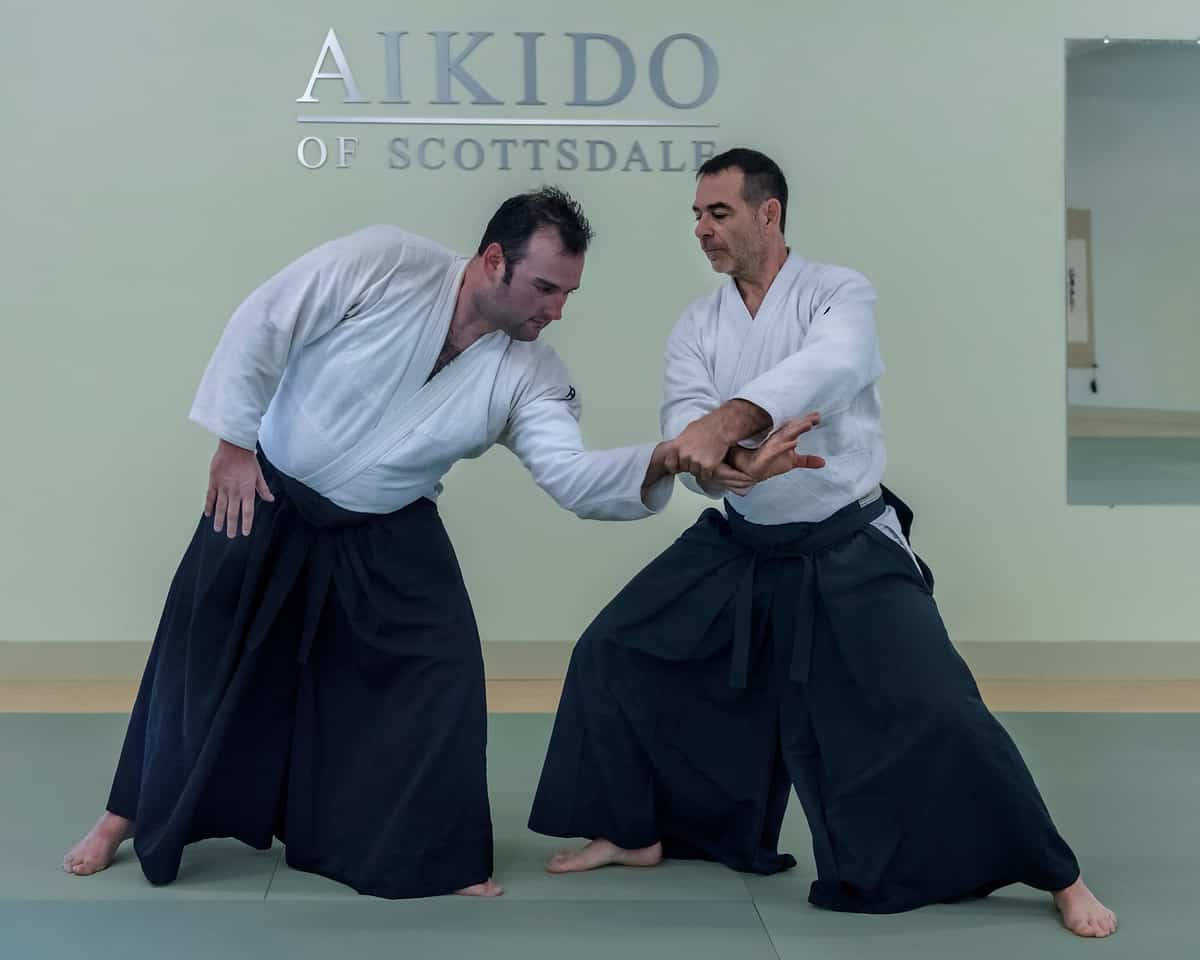 Aikido, nikyo, white gi, SD Desktop Wallpaper