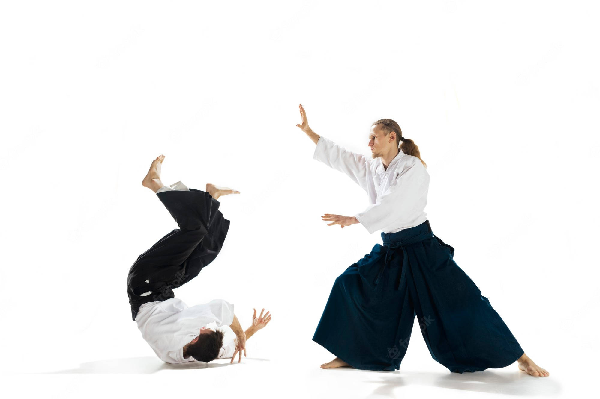 aikidoka, aiki nage, aikido technique, Full HD Desktop Wallpaper