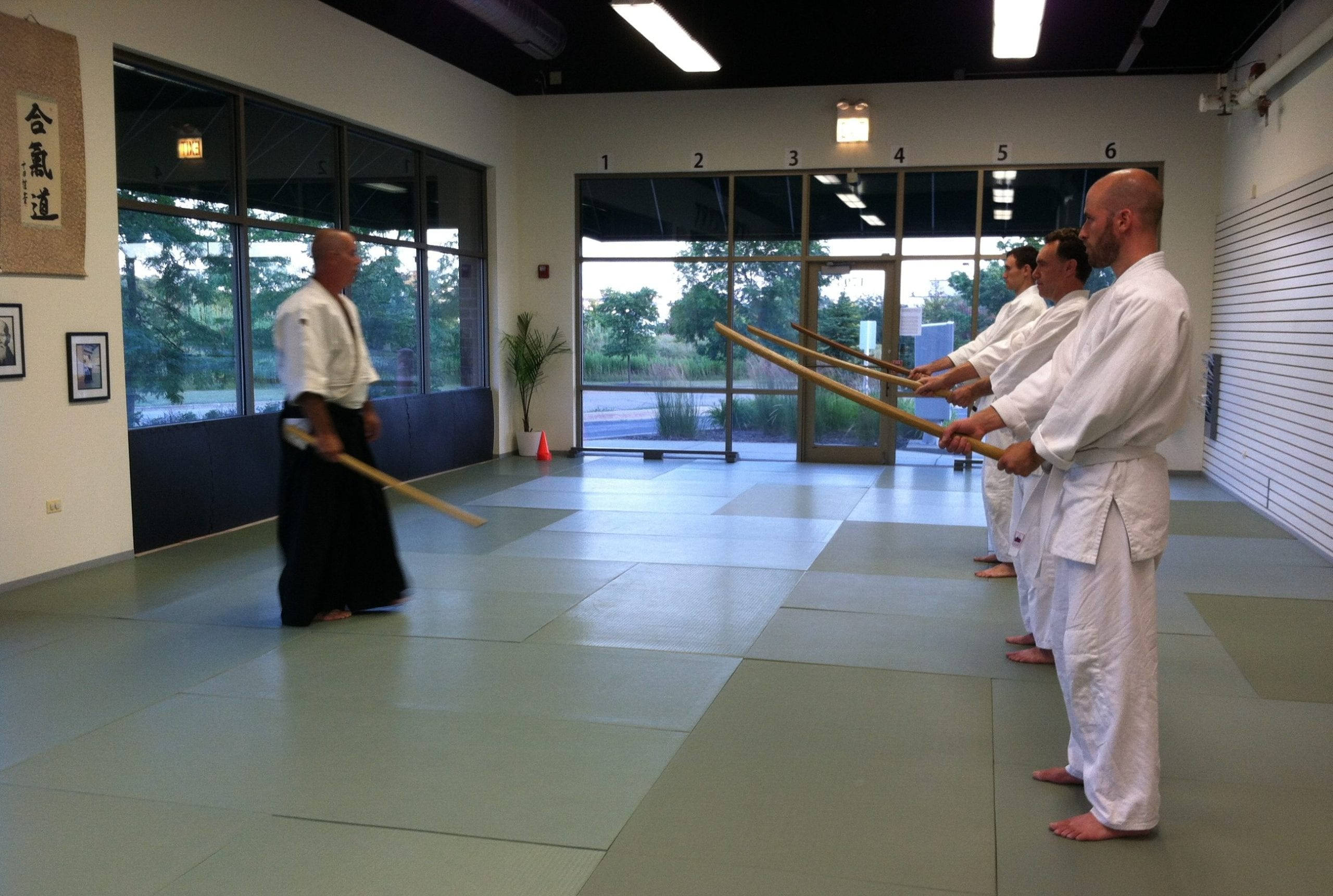 Aikido, sensei, jo staff, 2K Desktop Wallpaper