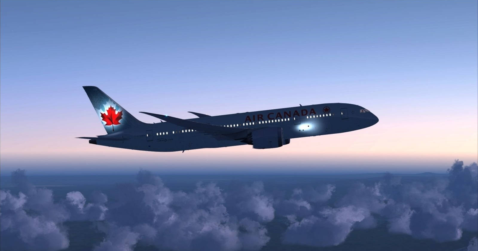 Air Canada, plane, maple leaf logo, HD Desktop Wallpaper
