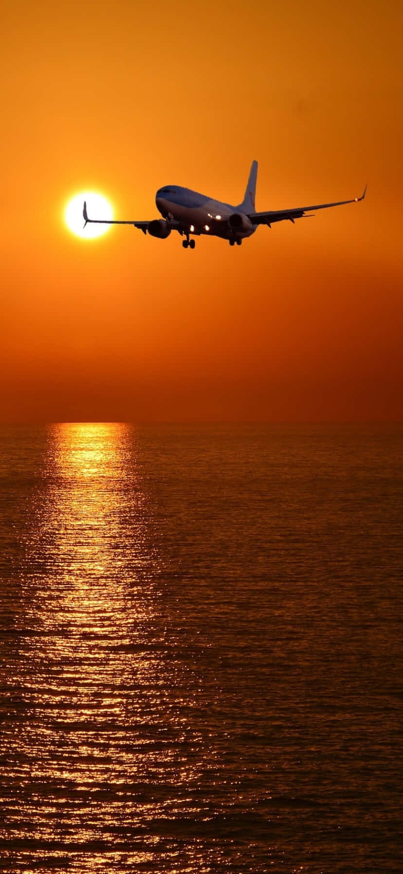 sunset flight silhouette, glowing orange sunset, shimmering ocean, HD Phone Wallpaper