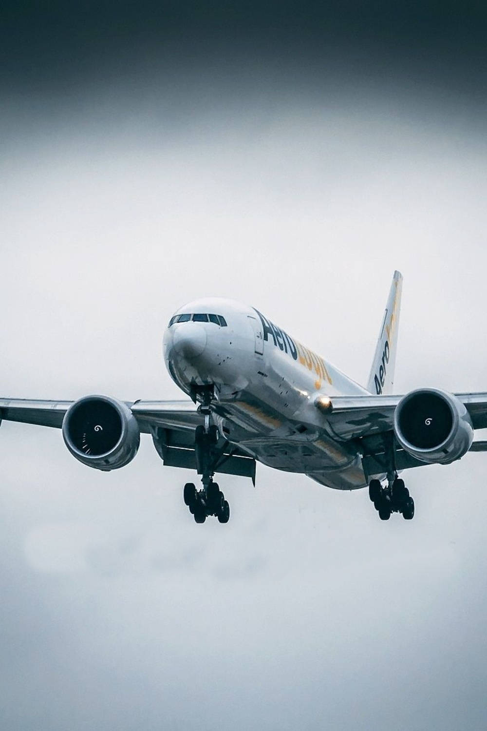 airplane android, commercial airplane, cloudy gray sky, HD Phone Wallpaper