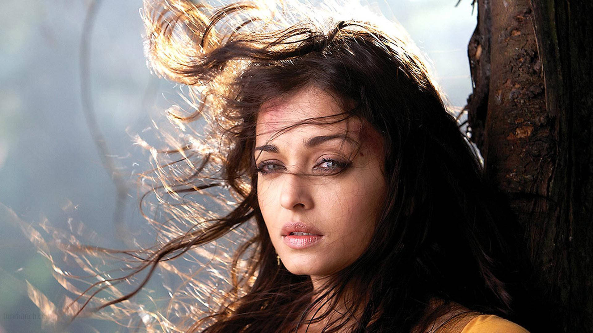 Aishwarya Rai, dark hair, tree trunk, Full HD Desktop Wallpaper