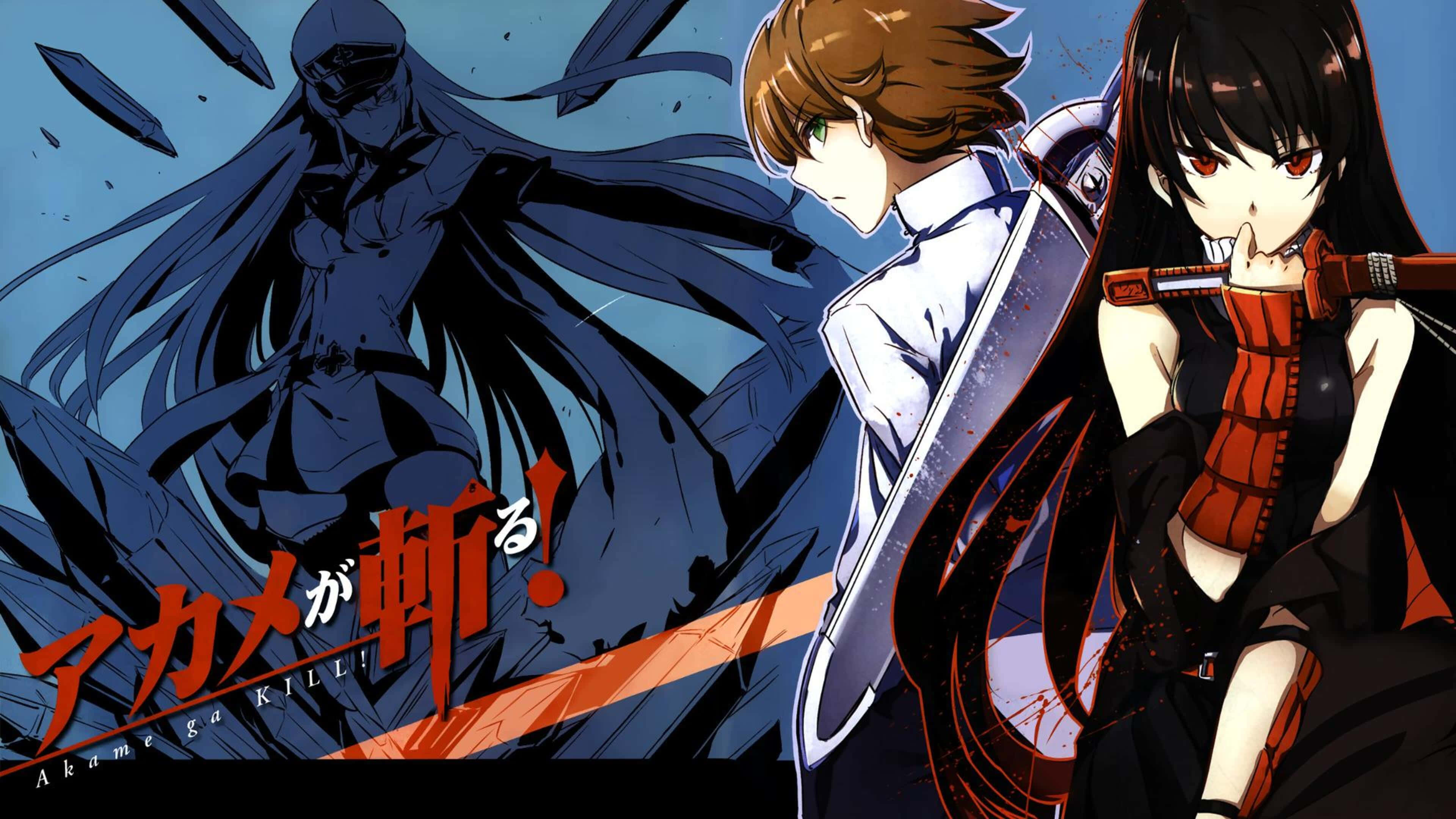 Akame Ga Kill, 4K, 3840 x 2160, 4K Desktop Wallpaper