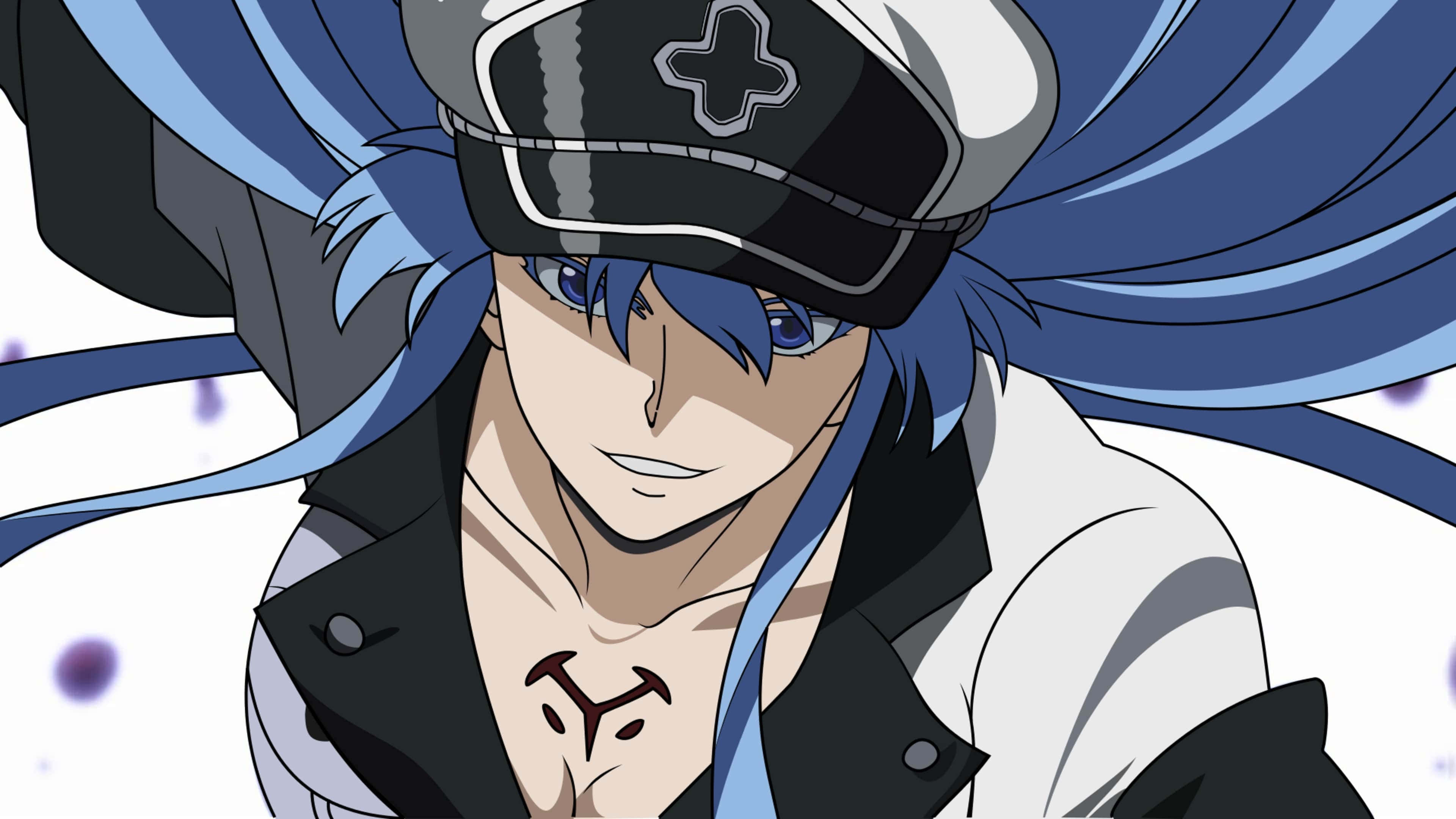 Akame Ga Kill, 4K, blue-haired anime character, 4K Desktop Wallpaper