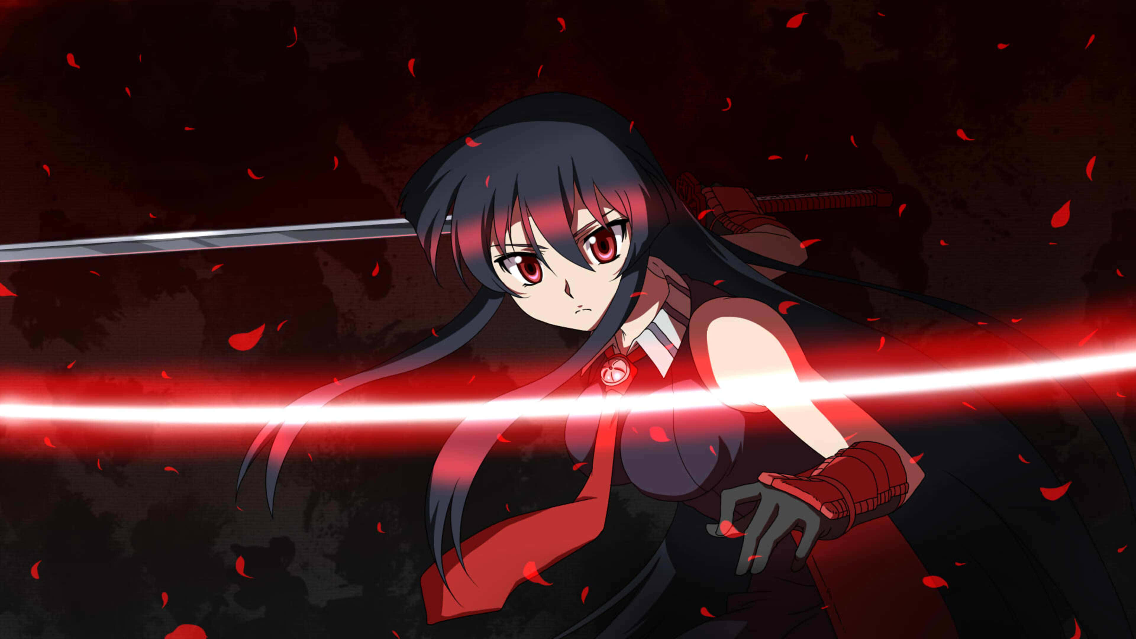 Akame Ga Kill, 4K, black hair, 4K Desktop Wallpaper