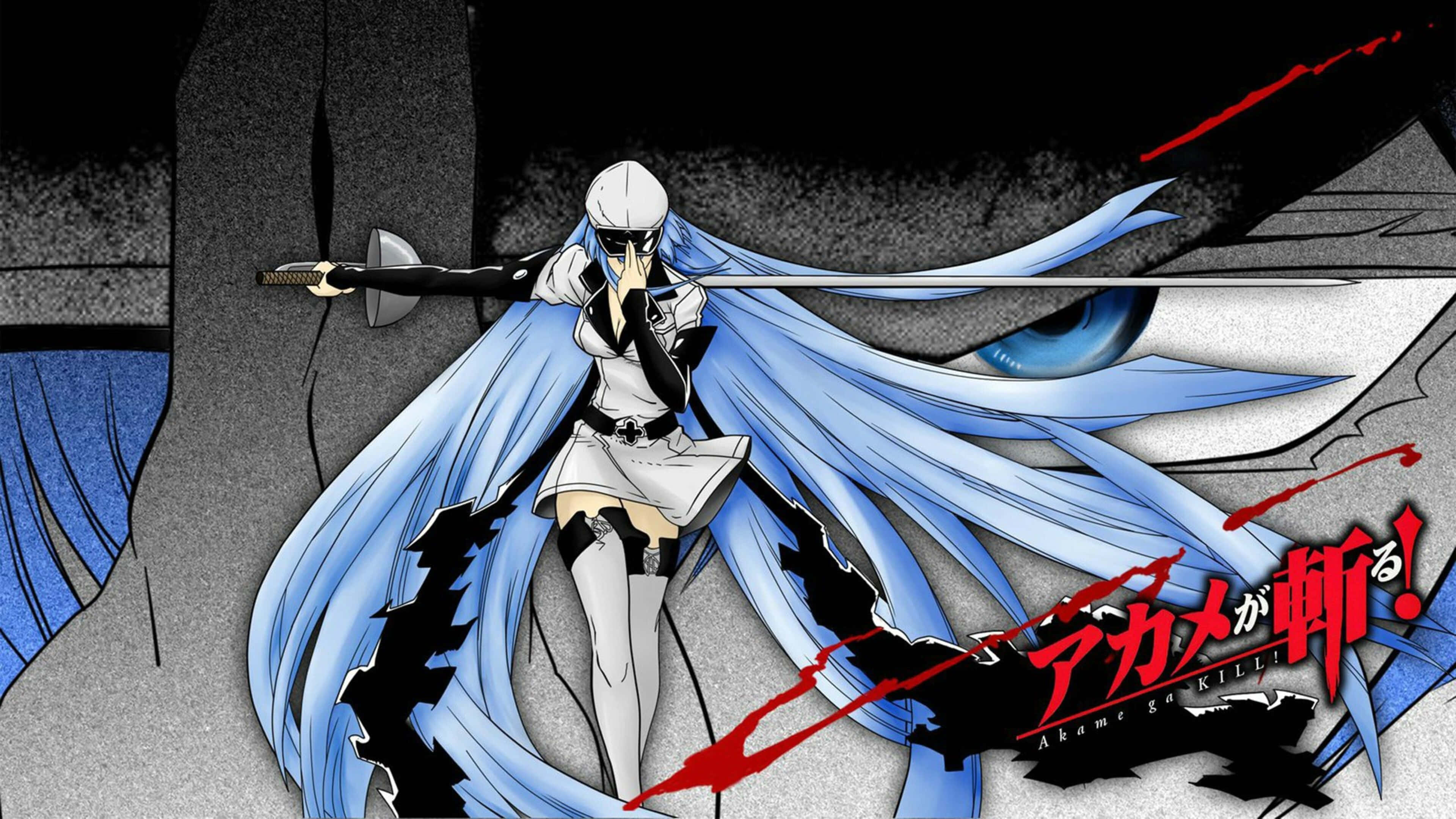 Akame Ga Kill, 4K, blue-haired anime girl, 4K Desktop Wallpaper