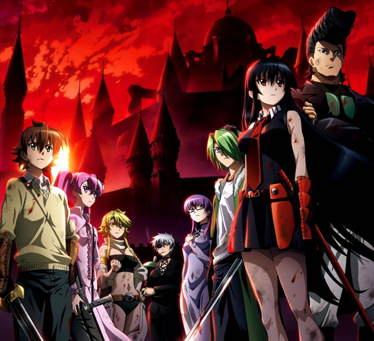 Akame Ga Kill, anime characters, swords, SD Desktop Wallpaper
