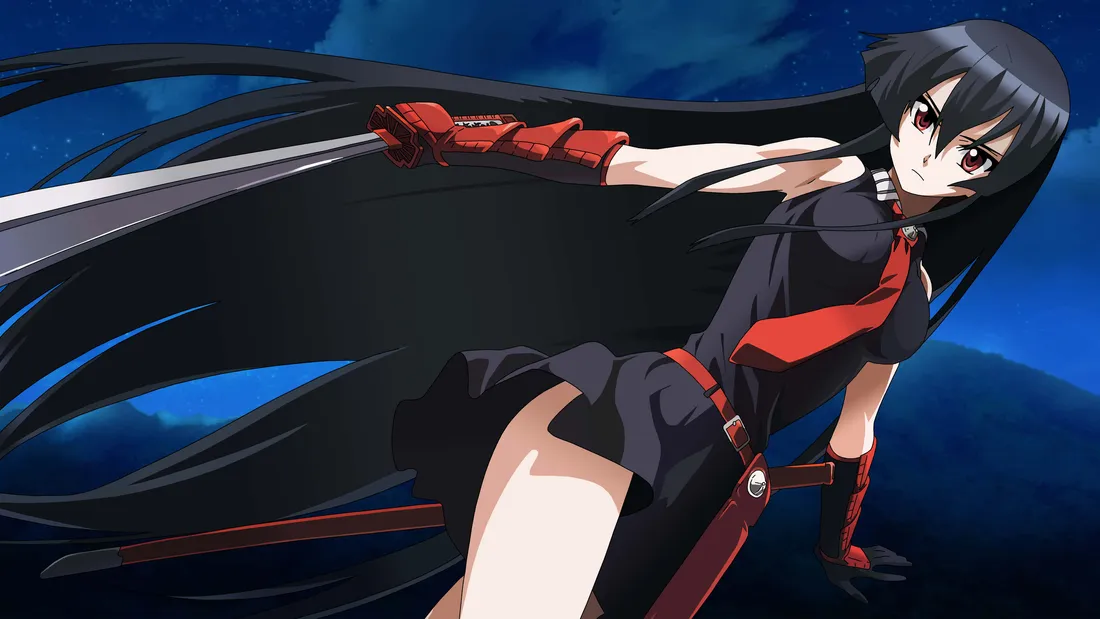 Akame Ga Kill