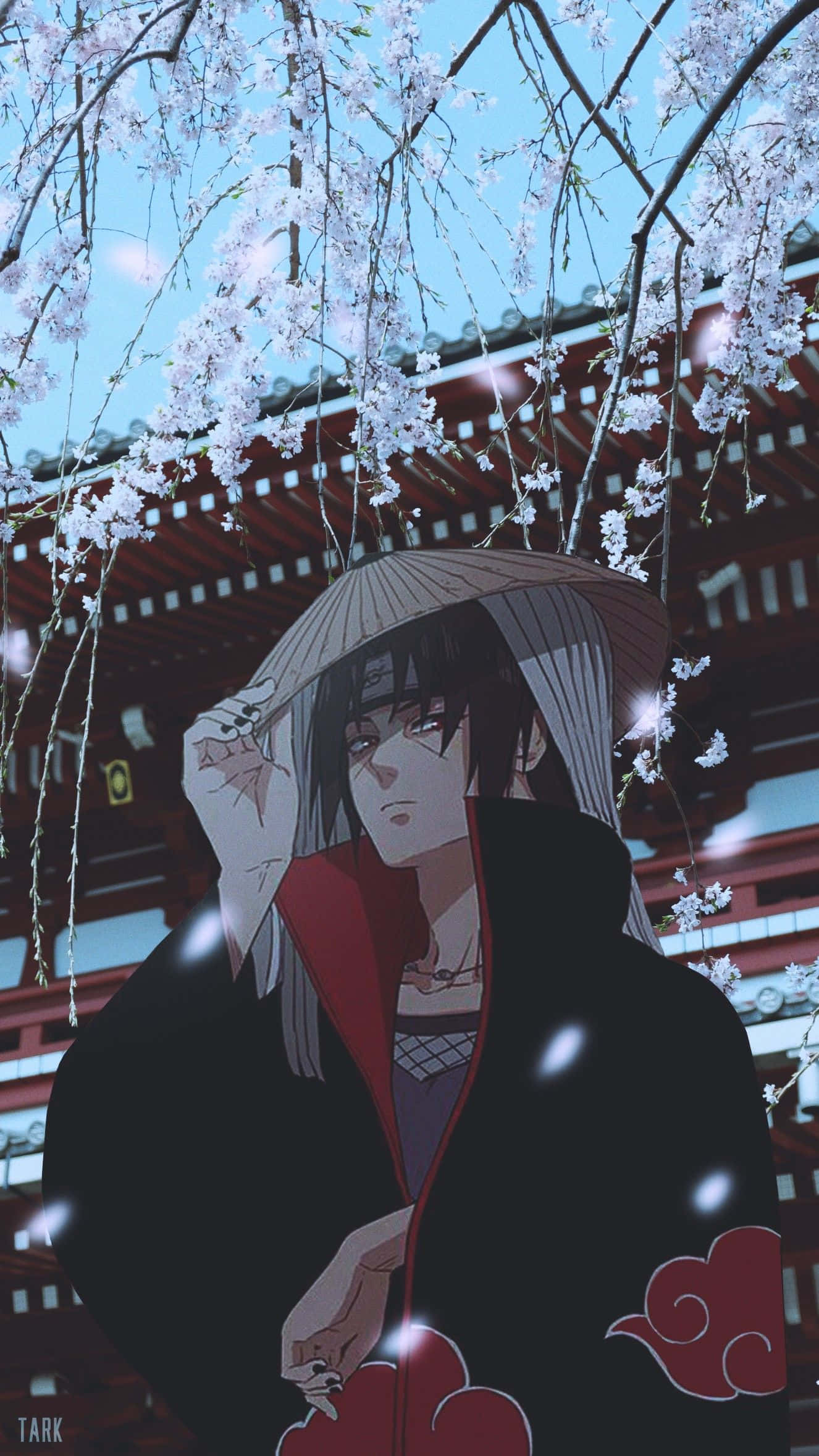 Akatsuki Hat, cherry blossoms, traditional red temple, Full HD Phone Wallpaper
