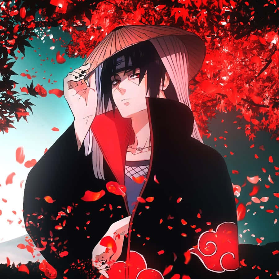 Akatsuki Hat, anime character, black cloak, SD Desktop Wallpaper