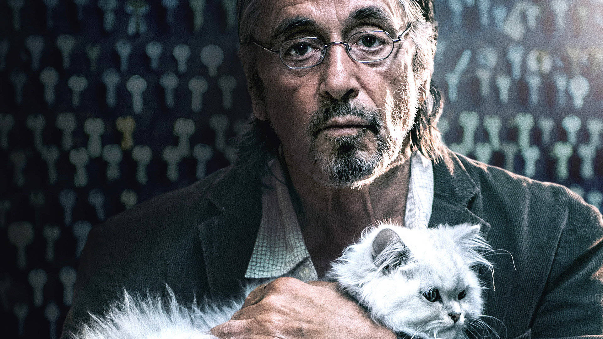 Al Pacino, fluffy white cat, key patterns, Full HD Desktop Wallpaper