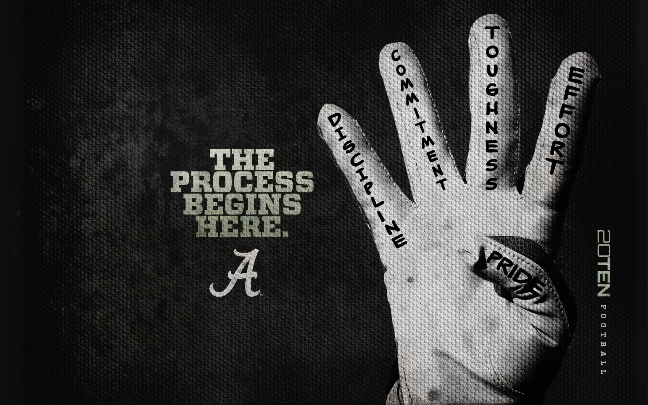Alabama Crimson Tide, 2010, effort, Full HD Desktop Wallpaper