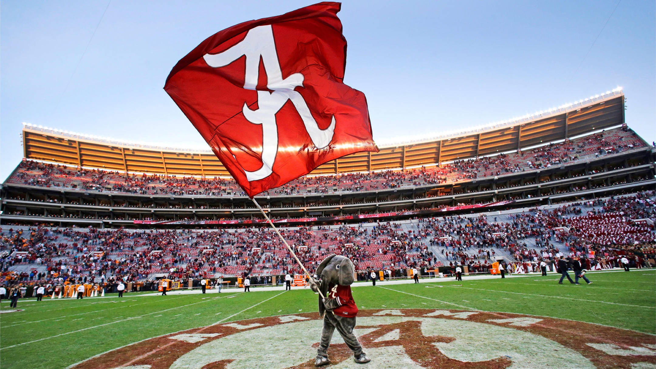 Alabama Crimson Tide, elephant mascot, crimson flag, Full HD Desktop Wallpaper