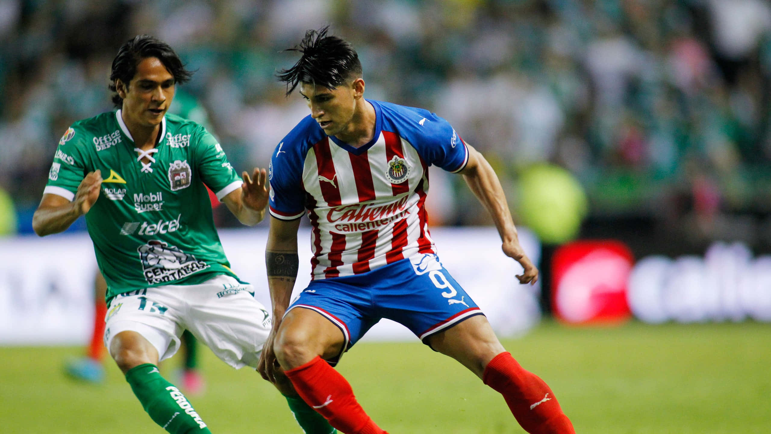 Alan Pulido, soccer players, vibrant green field, 2K Desktop Wallpaper