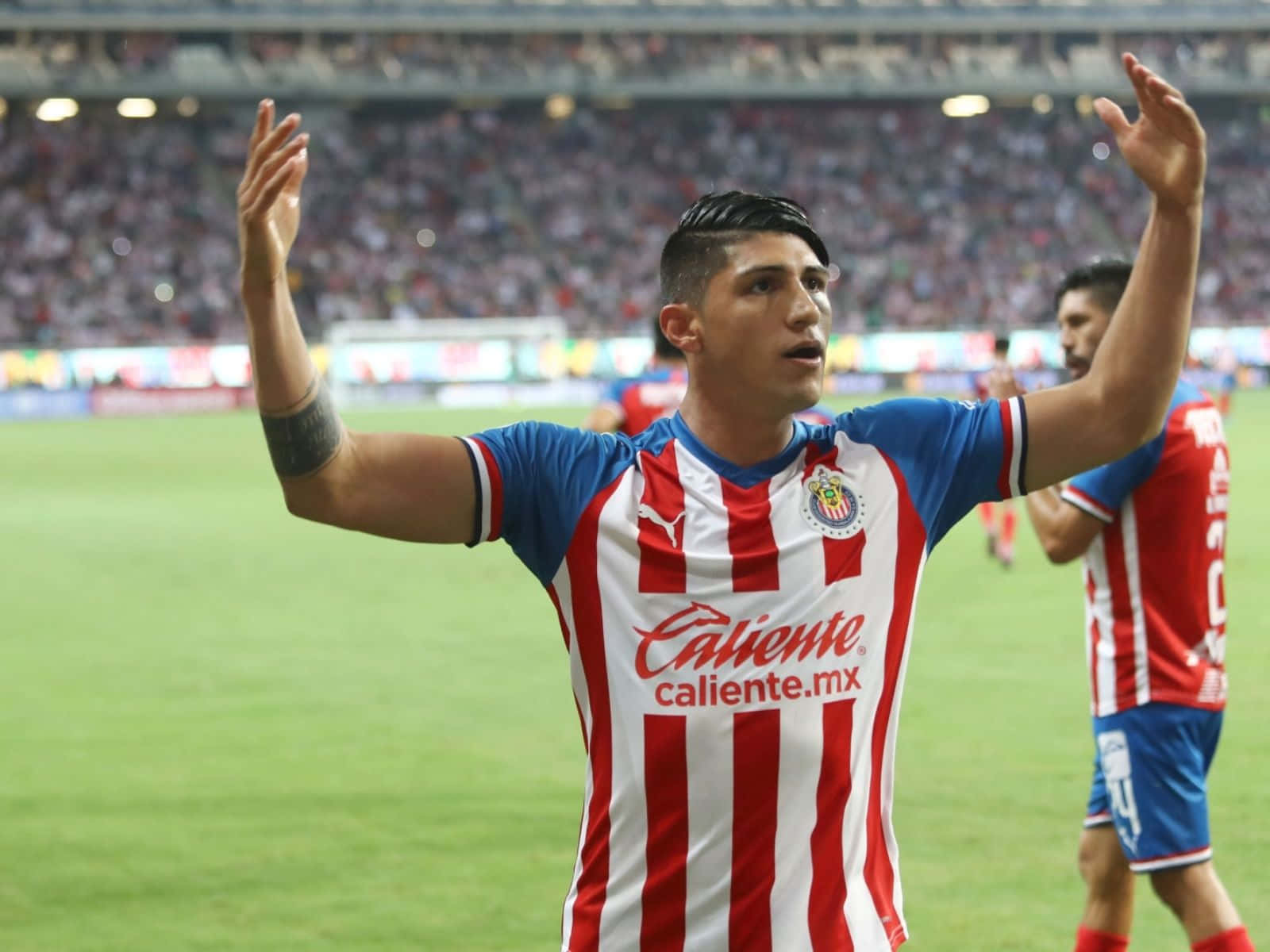 Alan Pulido, red and white striped jersey, stadium crowd, HD Desktop Wallpaper