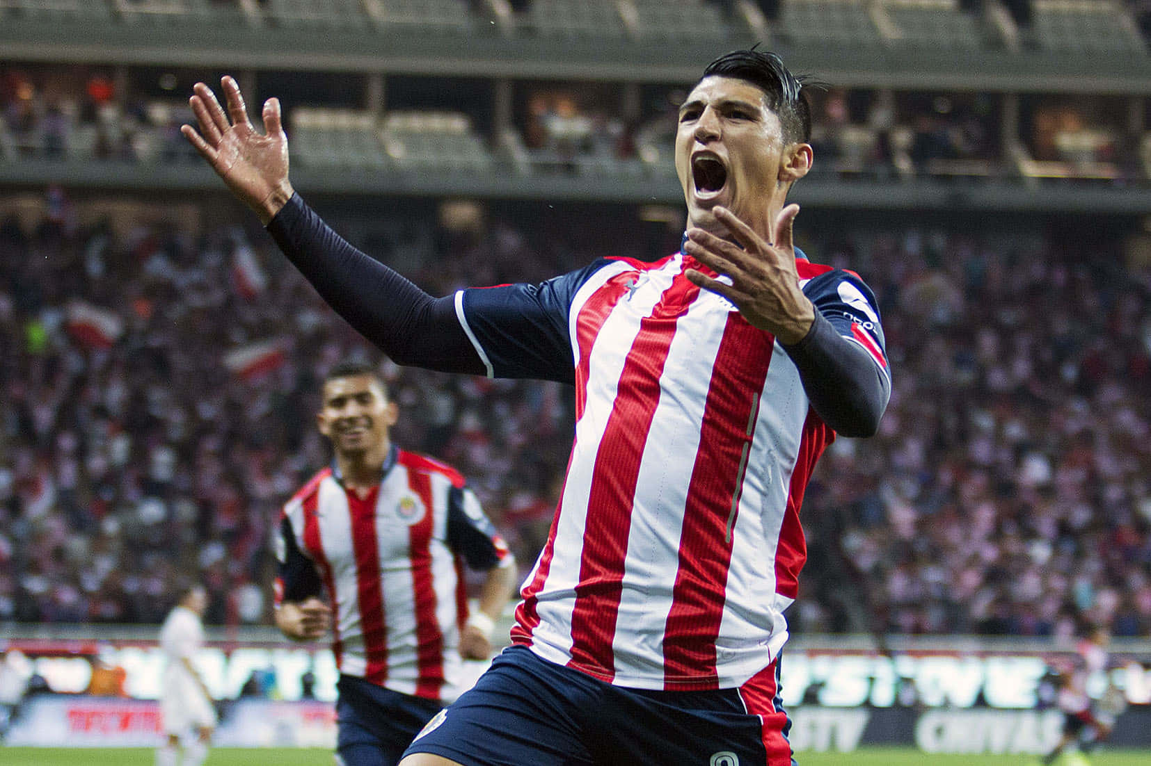 Alan Pulido, red and white striped jersey, packed stadium, HD Desktop Wallpaper