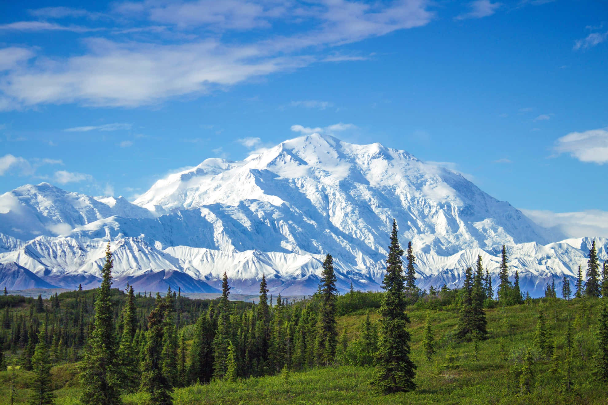Alaska, snow-capped mountain, lush green forest, Full HD Desktop Wallpaper