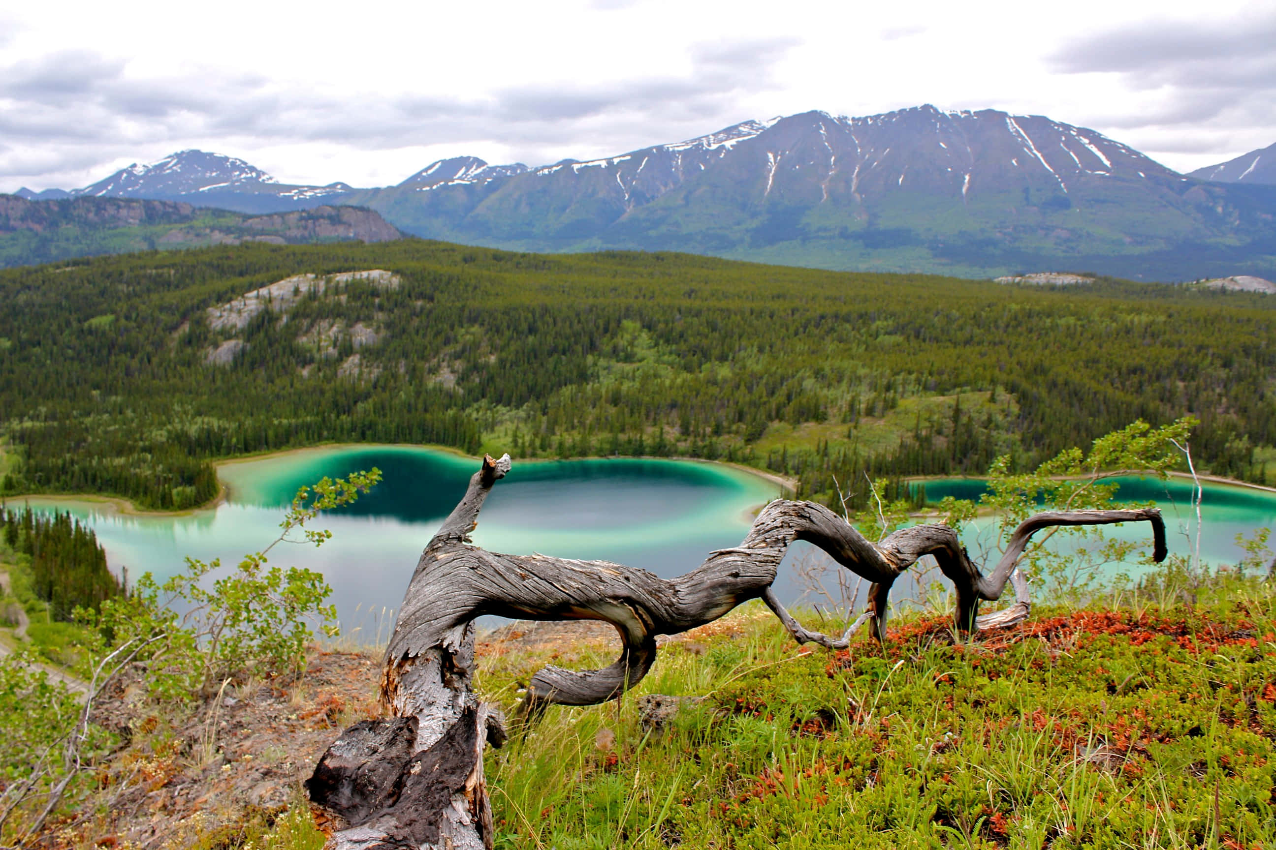 Alaska, turquoise lake, lush green forests, 2K Desktop Wallpaper