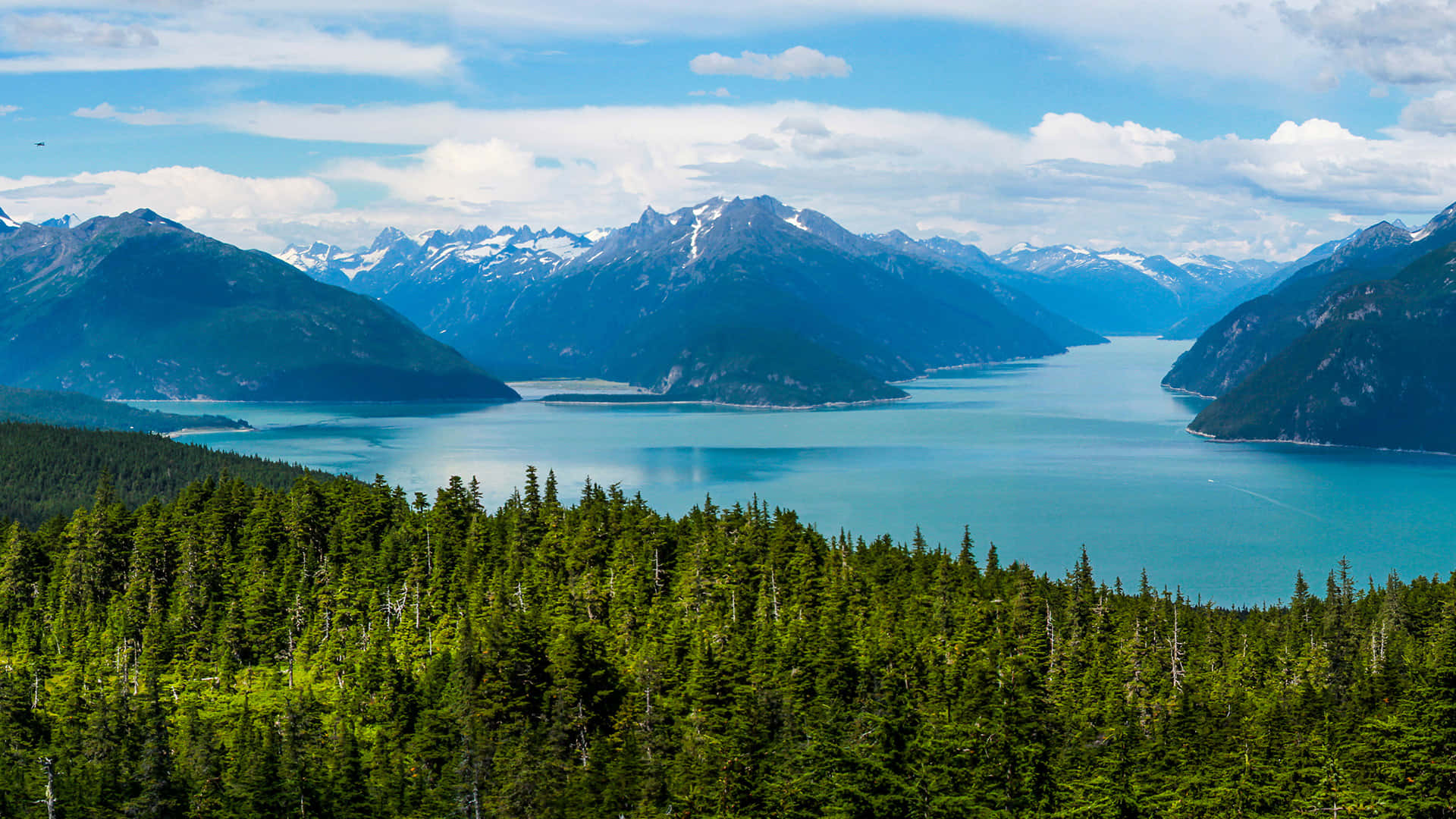turquoise fjord, snow-capped mountains, dense green forests, Full HD Desktop Wallpaper