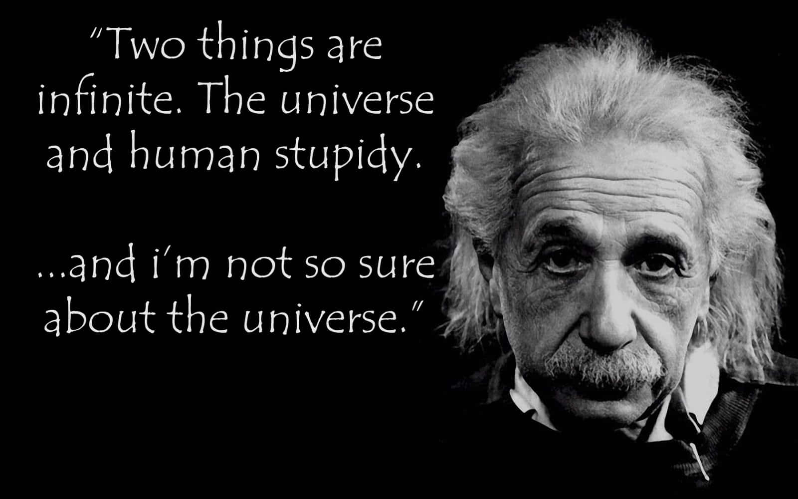 Albert Einstein, black and white portrait, humorous quote, HD Desktop Wallpaper