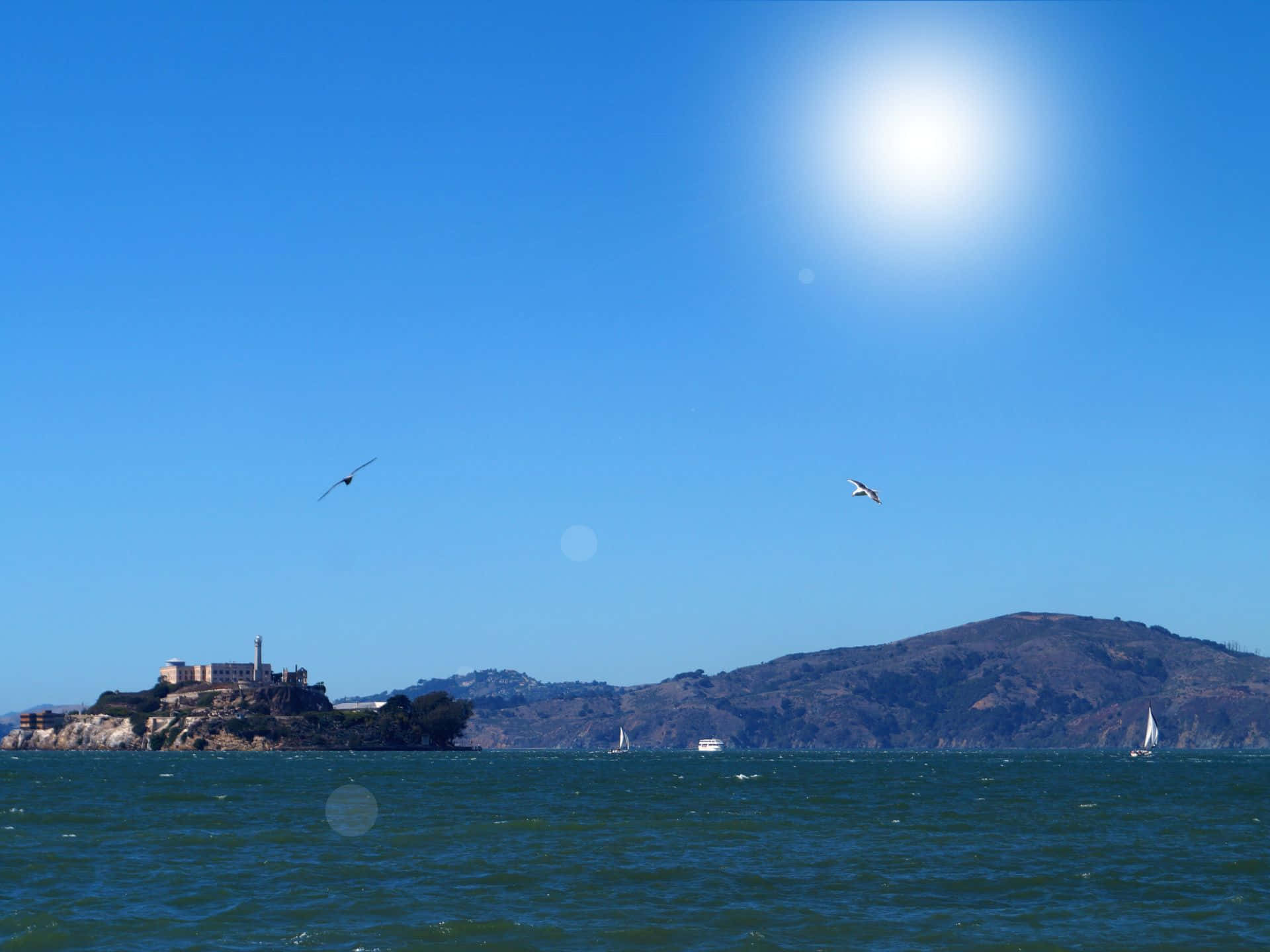 Alcatraz Island, sunny day, seagulls, Full HD Desktop Wallpaper