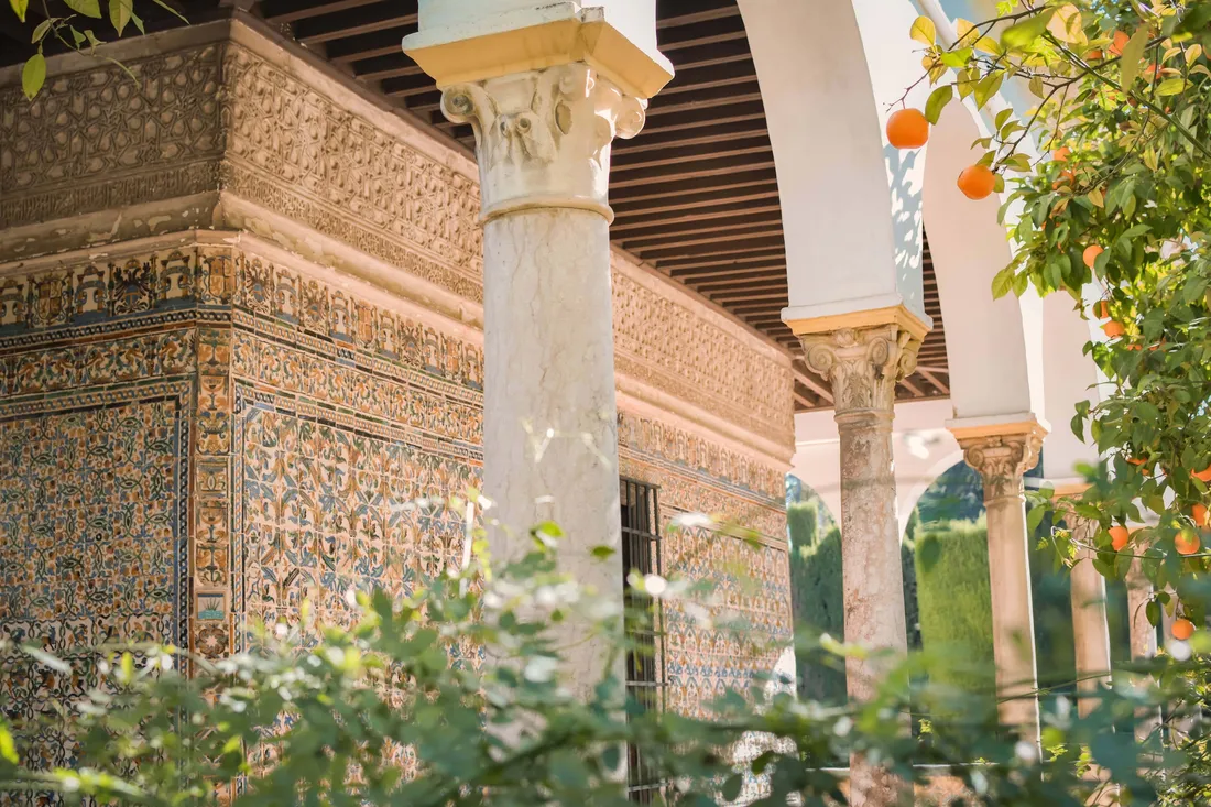 Alcazar De Colon