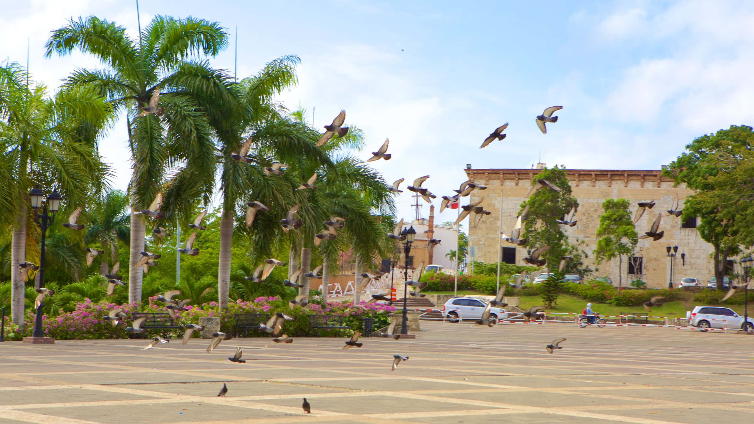 Alcazar De Colon, pigeons, plaza, 2K Desktop Wallpaper