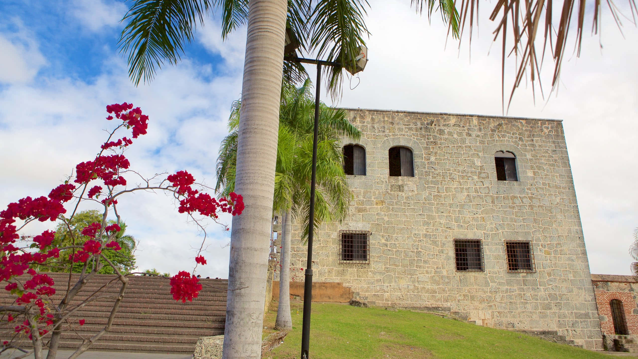 Alcazar De Colon, palm trees, vibrant red bougainvillea blooms, 2K Desktop Wallpaper