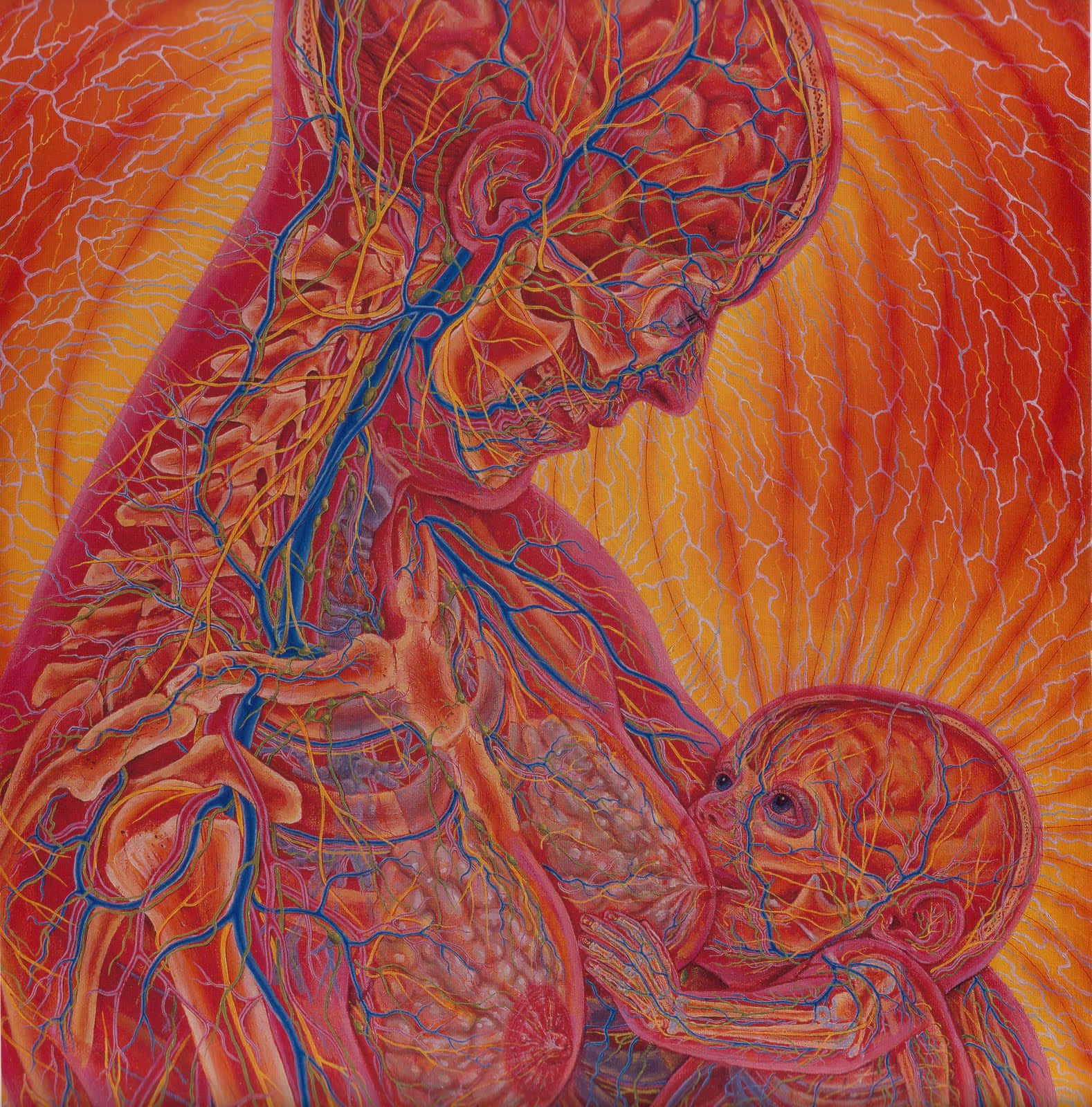Alex Grey, mother and child, glowing veins and arteries, HD Phone Wallpaper