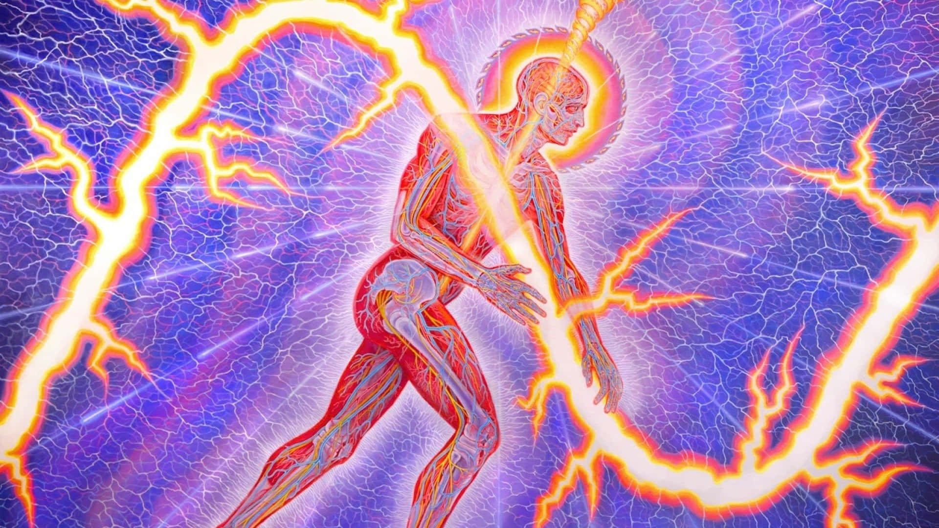 Alex Grey, glowing human figure, visible internal organs, Full HD Desktop Wallpaper