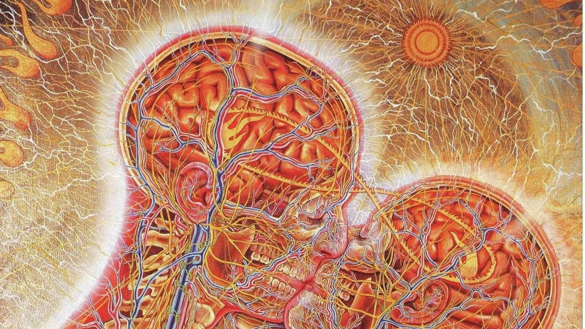 Alex Grey, glowing brains, neural networks, Full HD Desktop Wallpaper