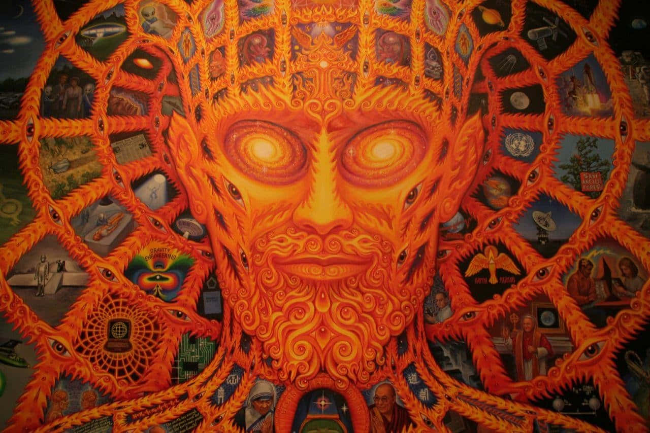 Alex Grey, fiery orange cosmic face, swirling patterns, HD Desktop Wallpaper