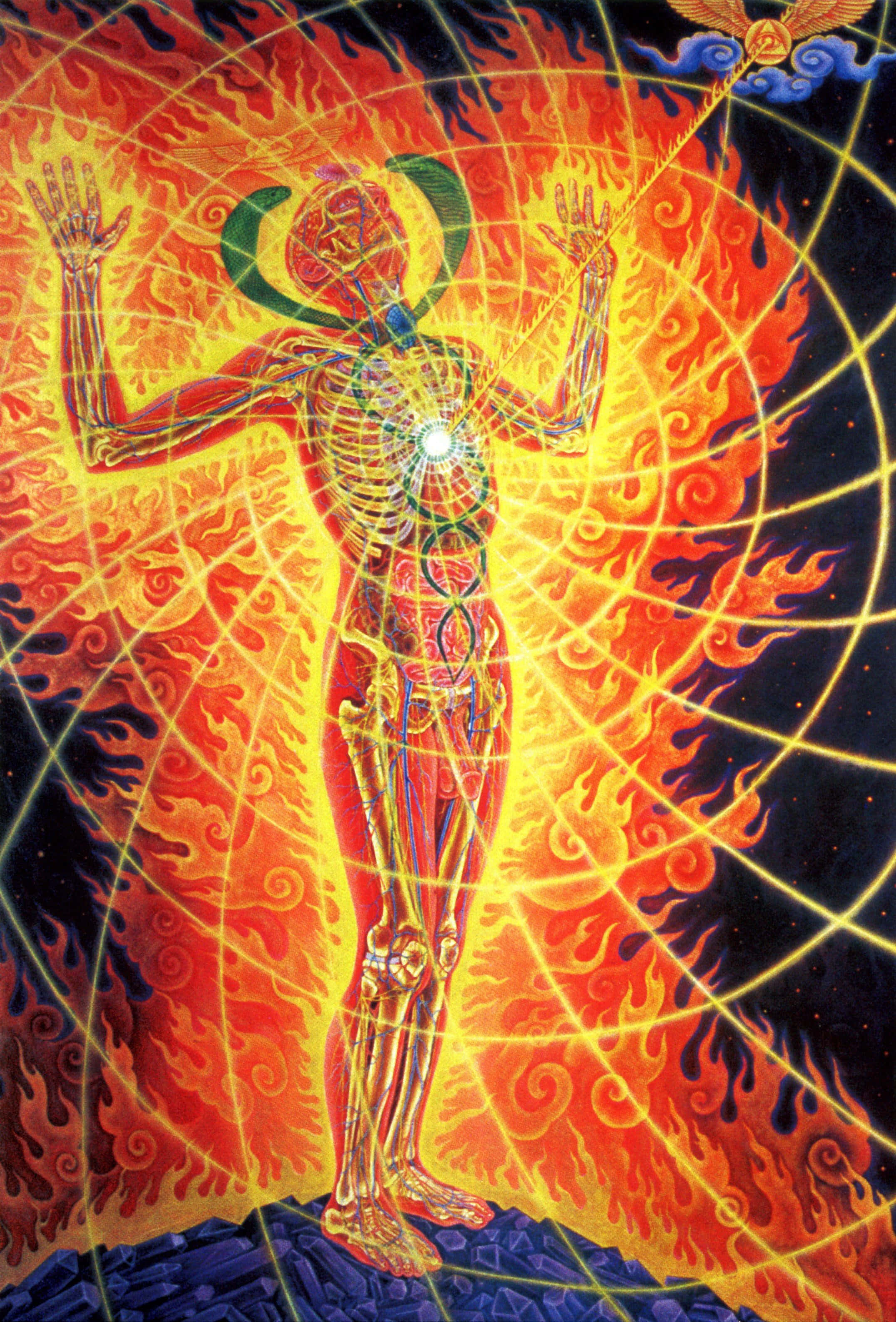 Alex Grey, glowing internal energy channels, swirling flames, 2K Phone Wallpaper