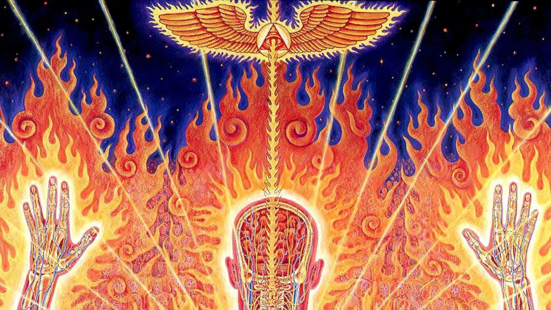 Alex Grey, golden winged figure, starry sky, Full HD Desktop Wallpaper