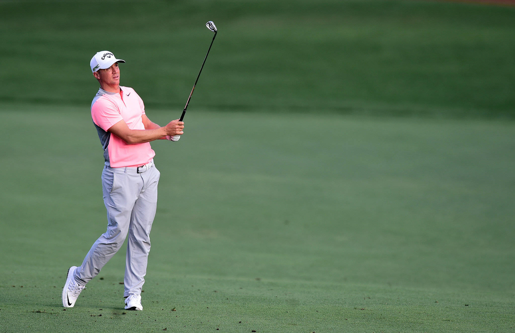 Alex Noren, pink shirt, white cap, Full HD Desktop Wallpaper