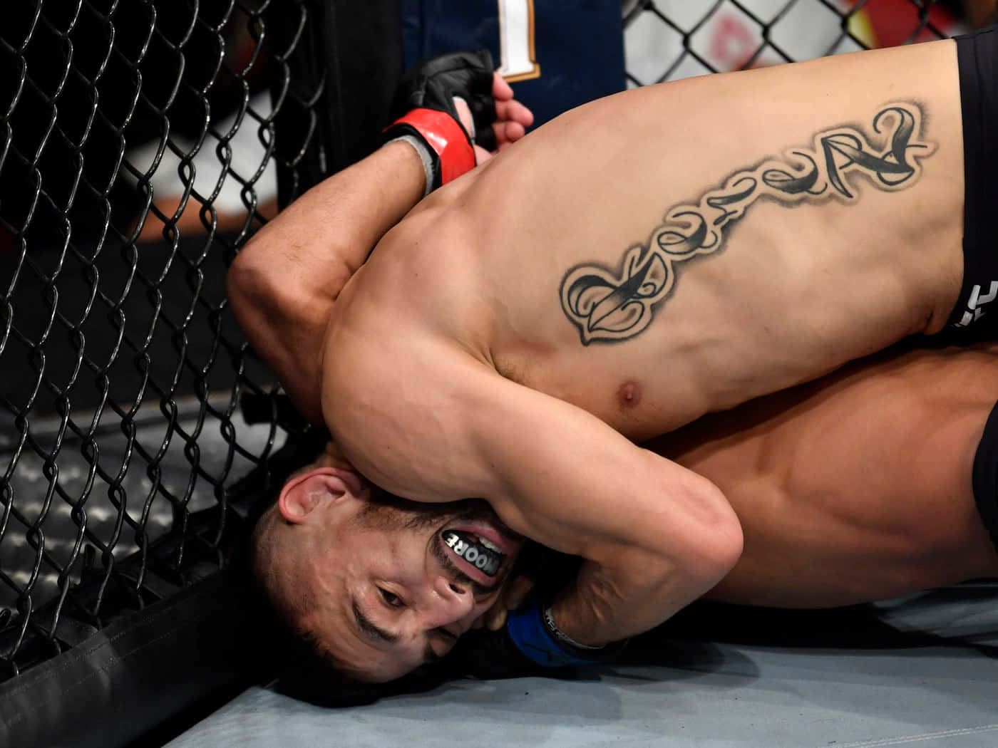 Alex Perez, tribal tattoo, grappling position, HD Desktop Wallpaper