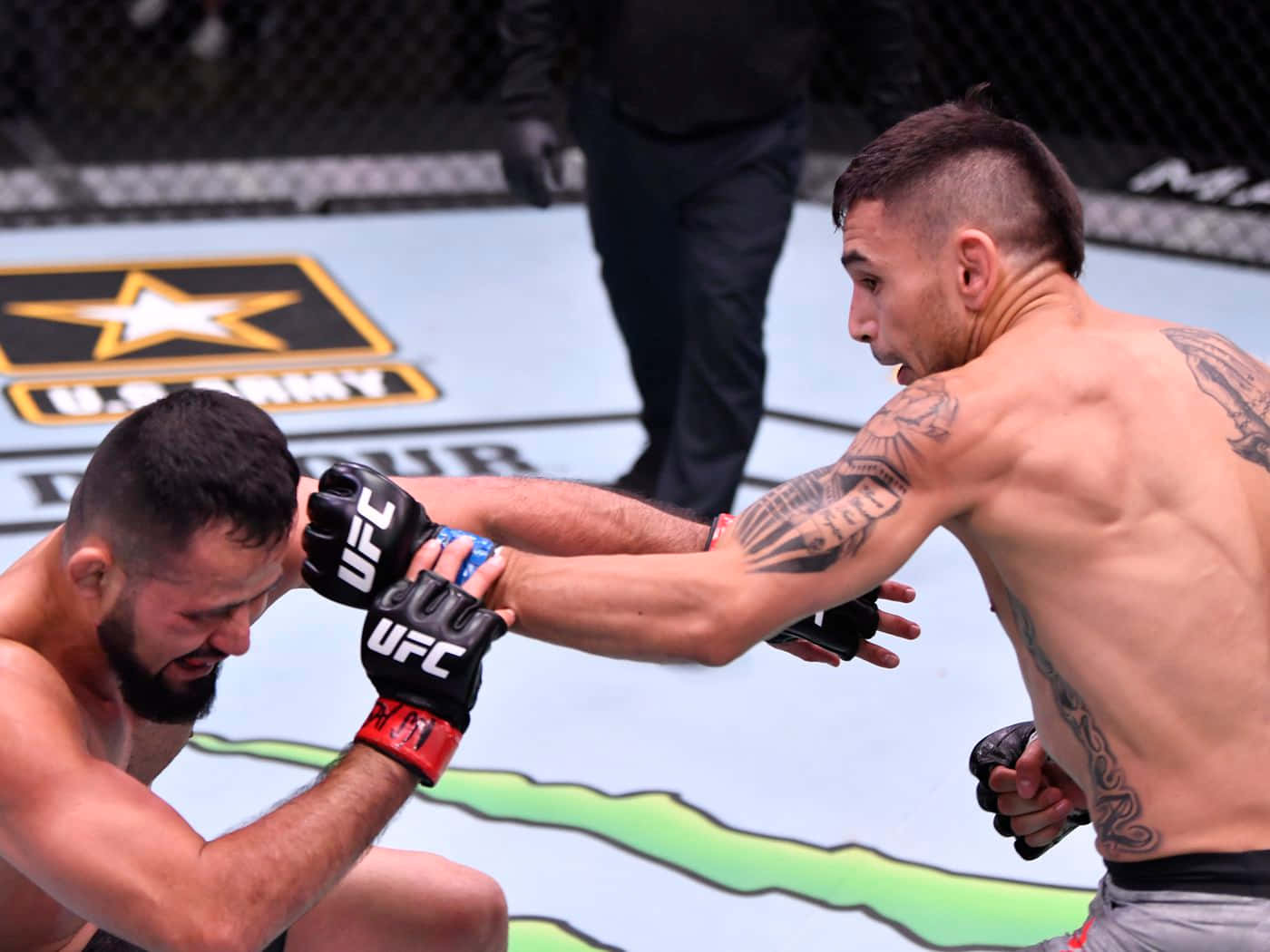 Alex Perez, MMA fighters, cage match, HD Desktop Wallpaper