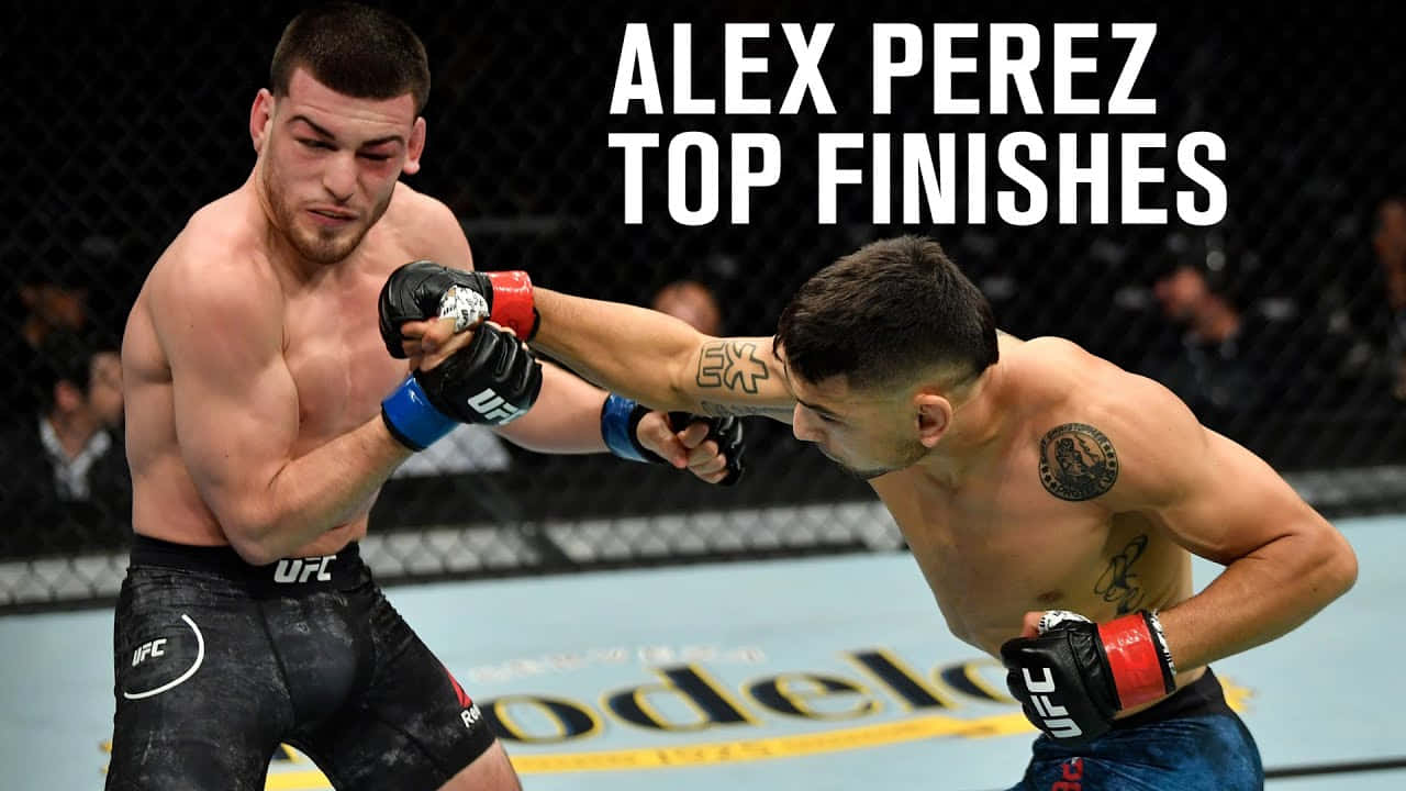 Alex Perez, MMA fighters, cage match, HD Desktop Wallpaper