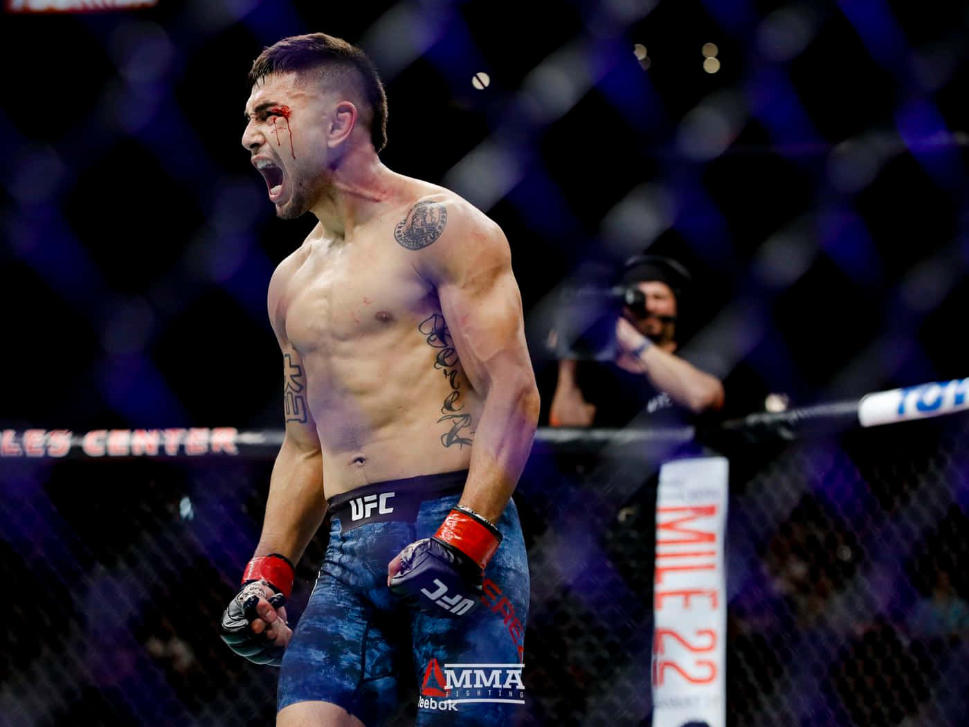 Alex Perez, MMA fighter, dimly lit octagon, HD Desktop Wallpaper